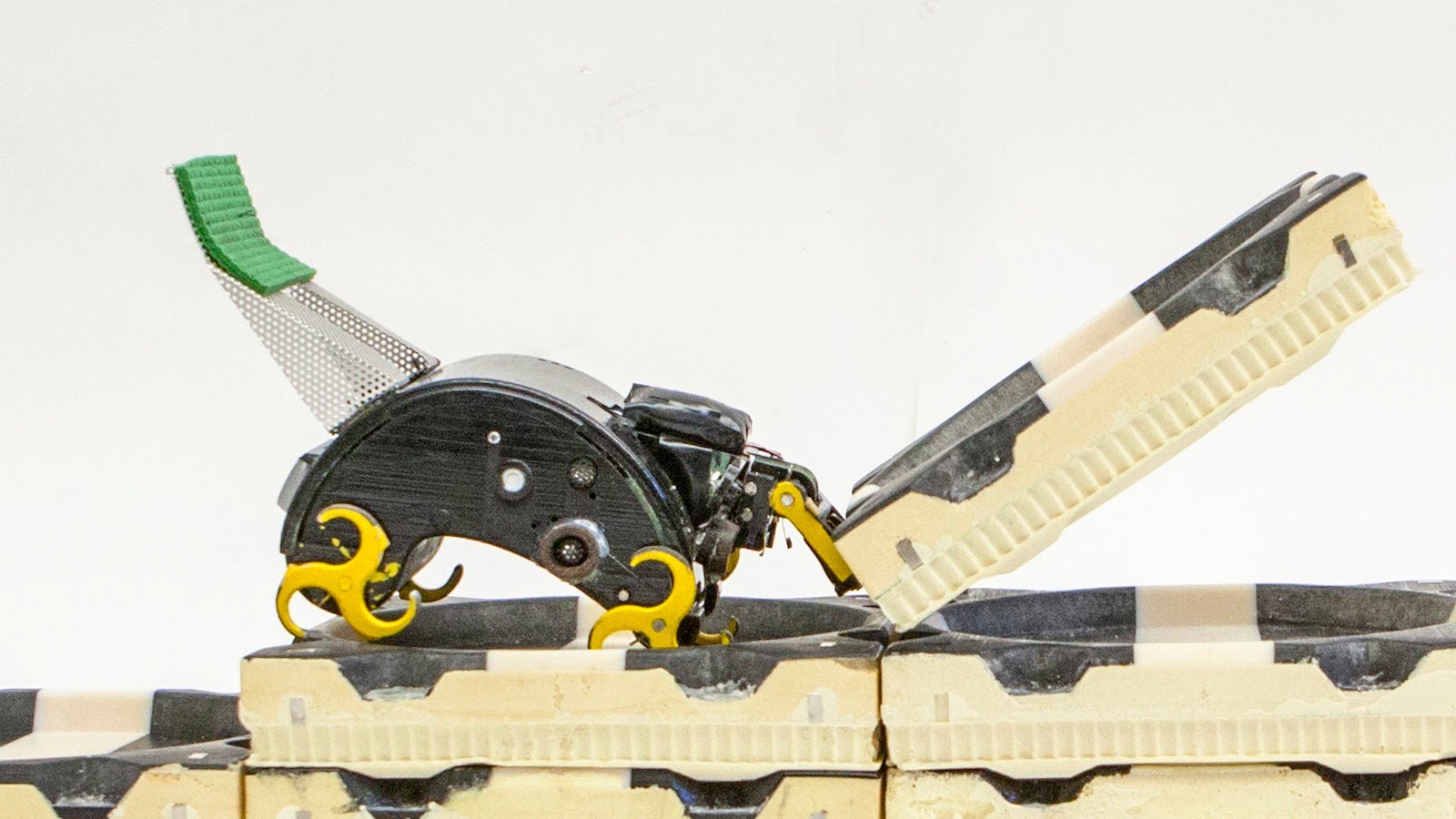 Robot Swarm Construction