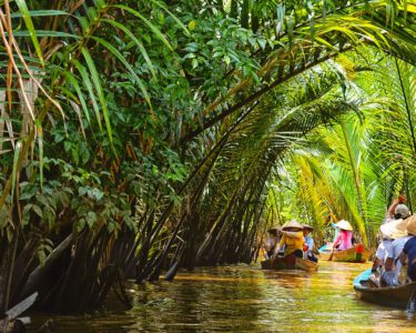Ben Tre to up industrial investment