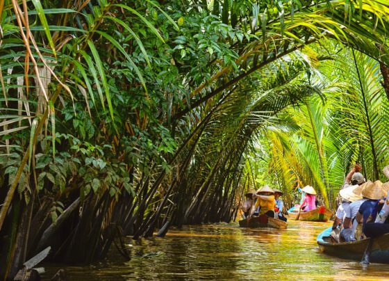 Ben Tre to up industrial investment