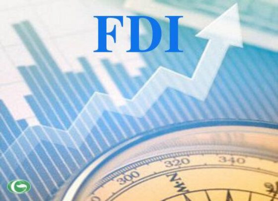 TP.HCM và Thanh Hóa dẫn đầu về thu hút vốn FDI trong 9 tháng năm 2017