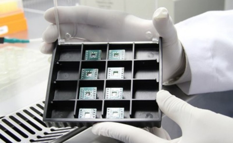 Đầu tư 266 tỷ đồng nghiên cứu sản xuất chip sinh học