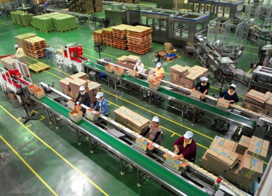 Prime Miniter reminds Bac Ninh to look towards hi-tech industrial hub