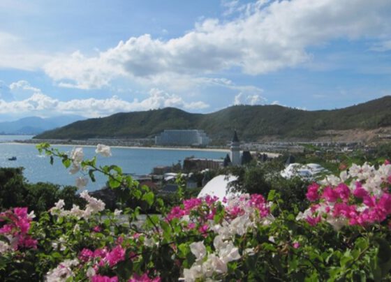 Special economic units call for investment at APEC