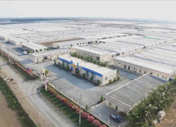 Bạc Liêu sẽ là trung tâm tôm công nghệ cao và điện gió