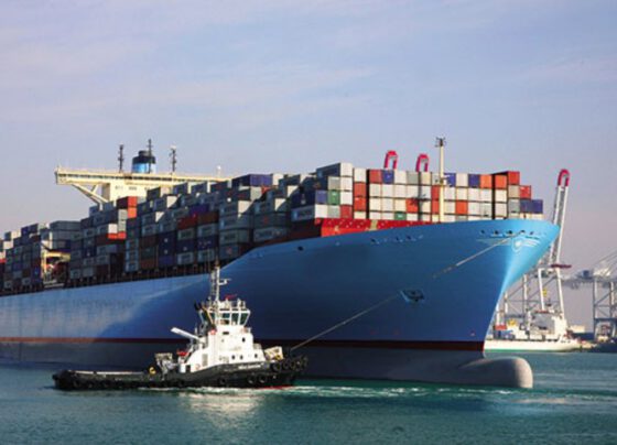 A tale of many seaports: FDI and its expectations