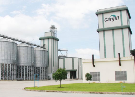 Cargill licensed to develop animal feed project in Bac Ninh