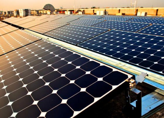 Solar power construction takes off in Vietnam after nuclear plans scrapped