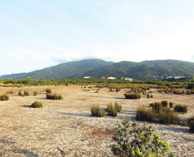 Vietnam to review long-delayed projects