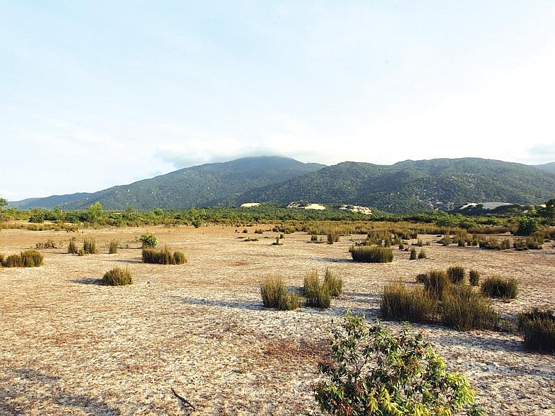 Vietnam to review long-delayed projects