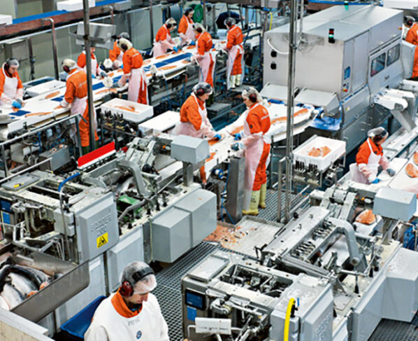 manufacturing