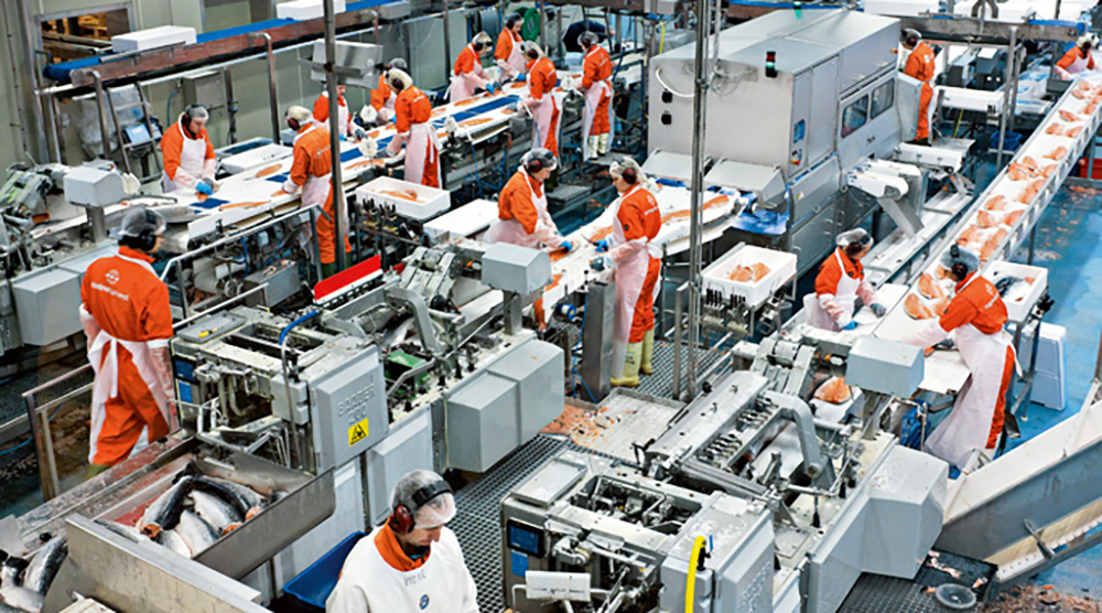 Foreign investors flock to Vietnam’s processing and manufacturing sector