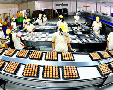 food processing