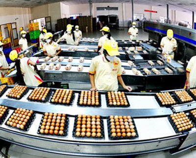 food processing