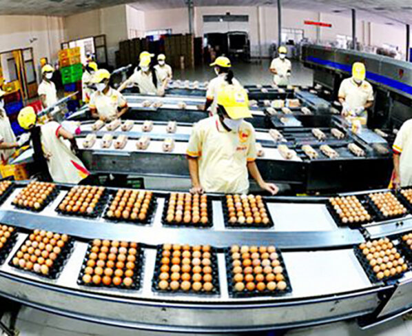 food processing