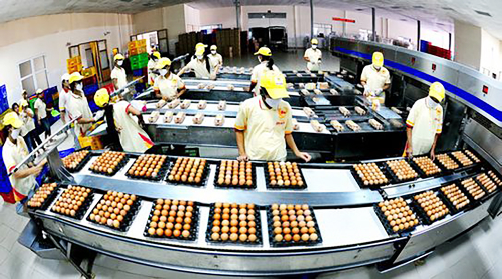 Foreign investors eye Vietnam’s food processing industry