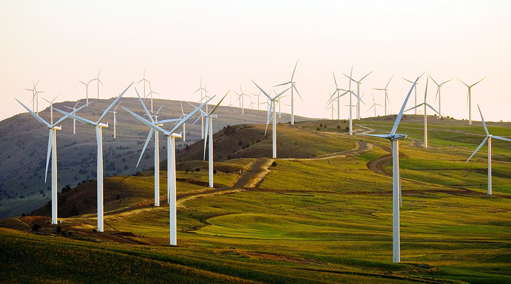Foreign investors interested in wind power development in Vietnam
