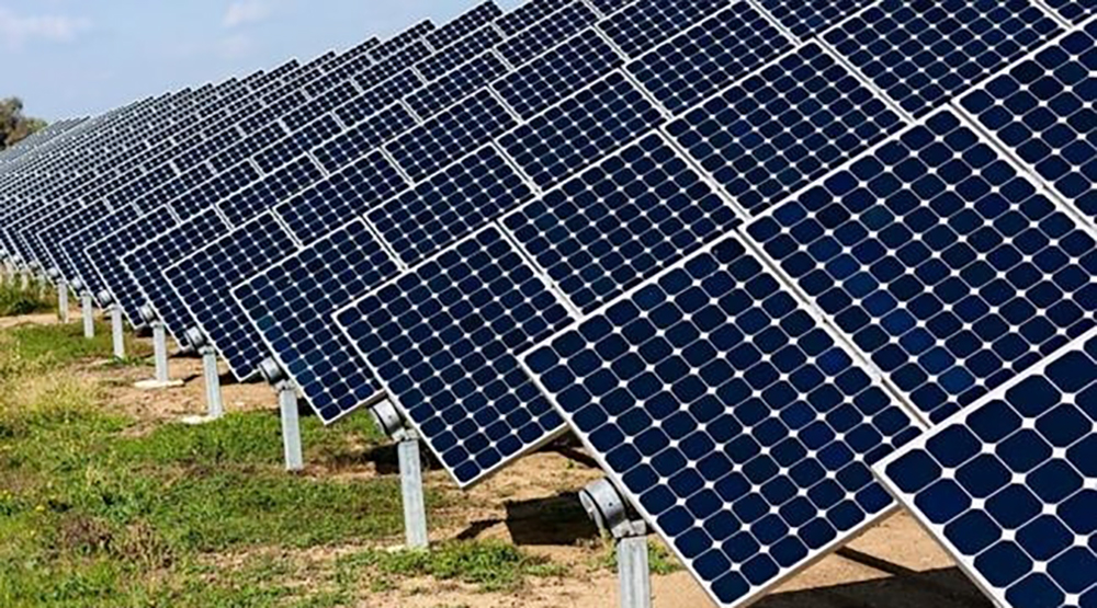 Chính phủ chấp thuận loạt cơ chế đặc thù cho tỉnh Ninh Thuận