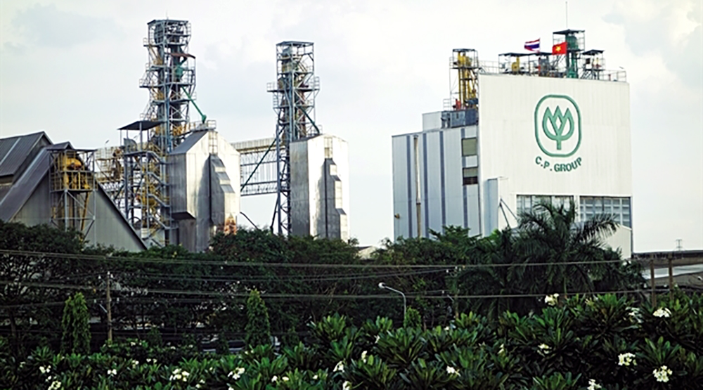 Nhà đầu tư Thái và chiến thuật bao phủ