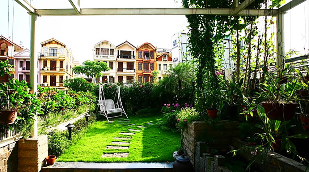 Nhà cải tạo đa chức năng với vườn xanh trên mái