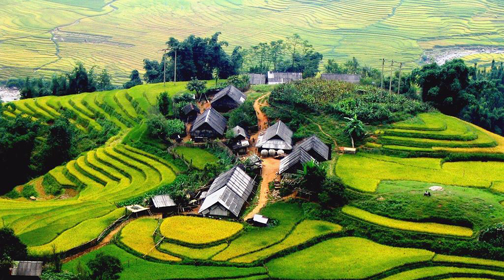 Liên danh 2 nhà đầu tư trúng sơ tuyển Khu đô thị Mường Hoa, Sa Pa