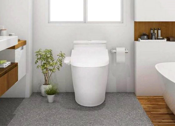 Toilet thông minh