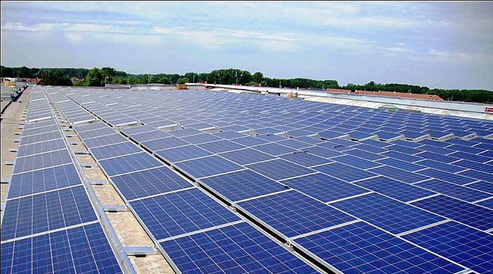 Investors withdraw from solar power project in Binh Thuan