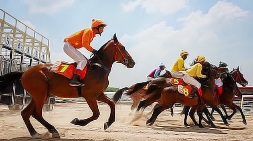 Horse racing track added to Hanoi plan