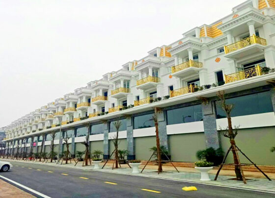 real estate market