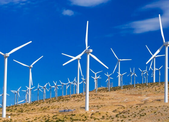 wind farm