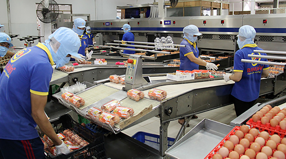 Japanese egg producer Ise Foods enters Vietnam market, eyes mega farm