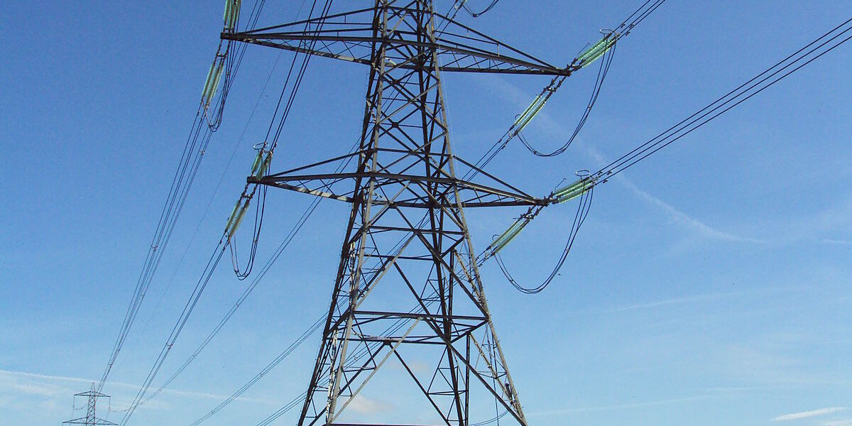 Provinces, experts call for allowing private capital in power grid construction