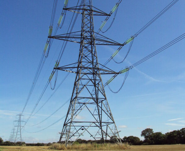 Provinces, experts call for allowing private capital in power grid construction