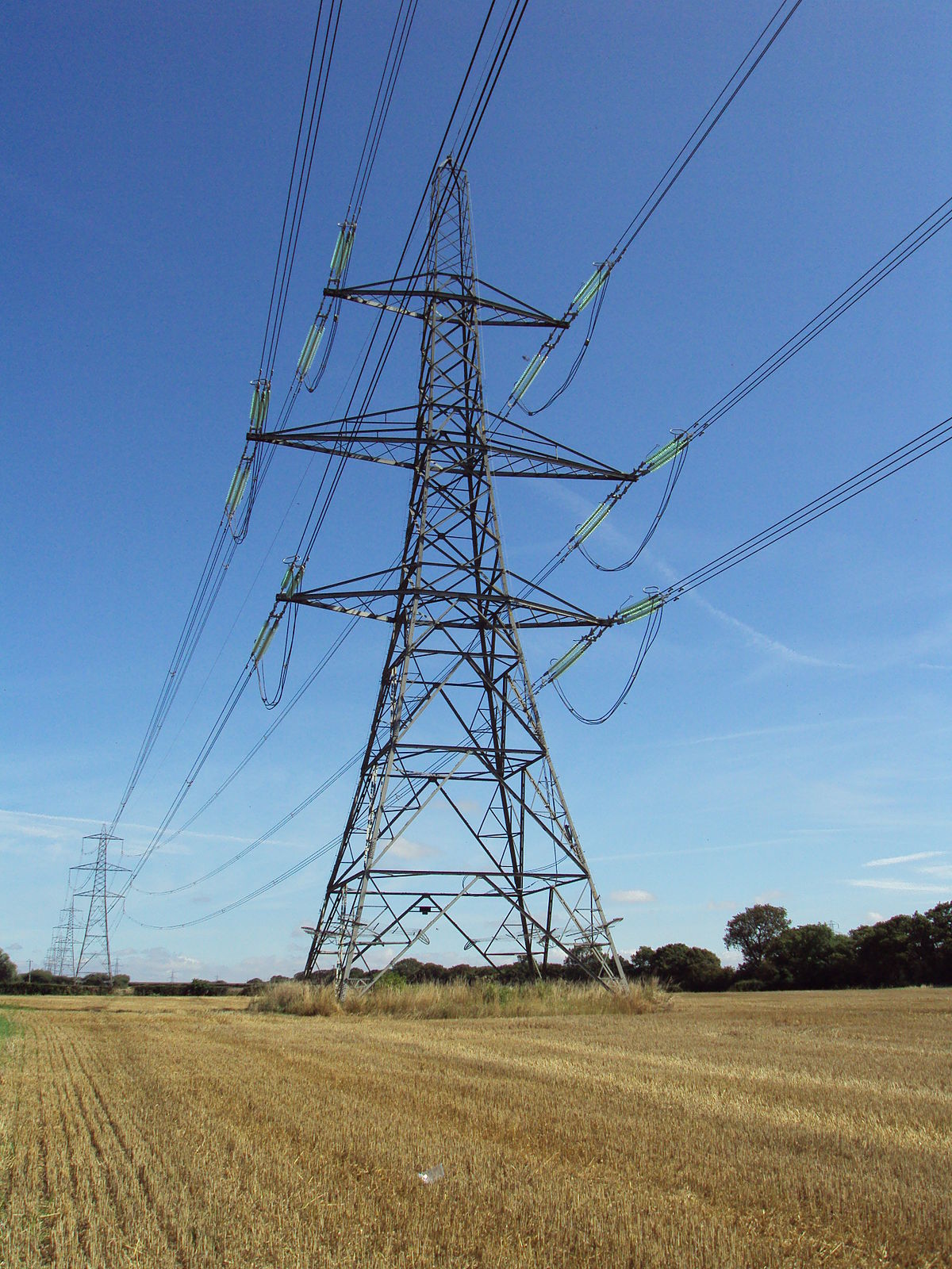 Provinces call for allowing capital in power grid construction