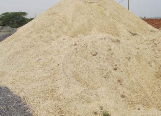 HCM City seeks new construction materials to replace sand