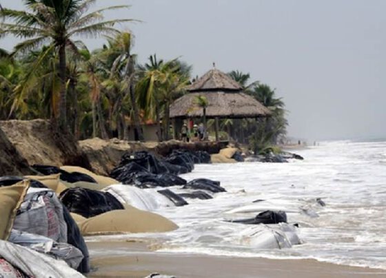 Hoi An to build $46 mln anti-erosion embankment