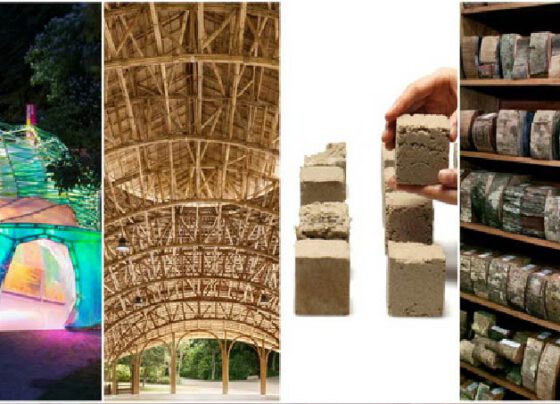 8 vật liệu phân hủy sinh học mà ngành xây dựng cần biết