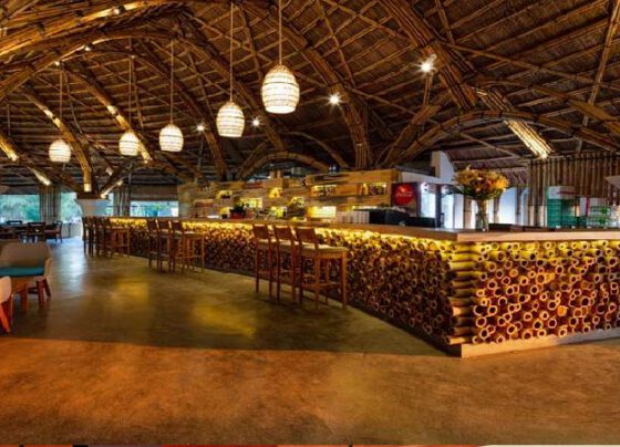 Nhà hàng xây từ 25.000 cây tầm vông
