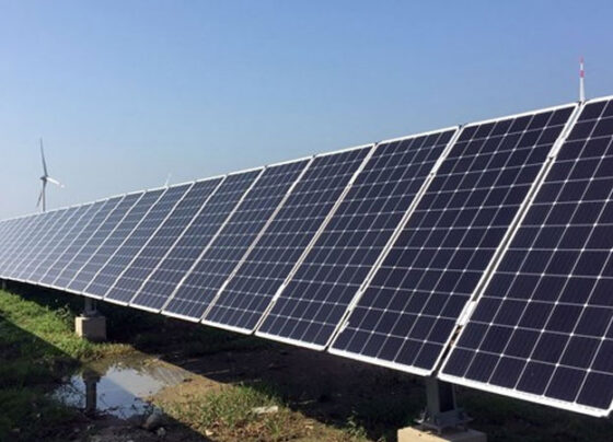 Over 1,000 firms in HCM City to develop rooftop solar power