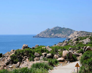 Int’l bidding to be invited for power supply by submarine cables in Binh Dinh