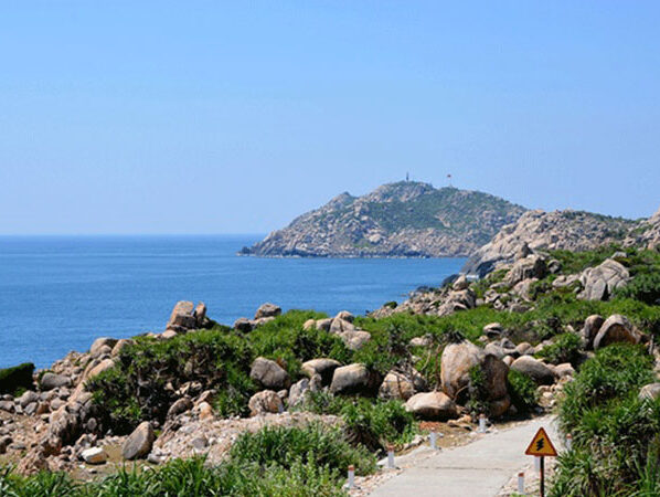 Int’l bidding to be invited for power supply by submarine cables in Binh Dinh