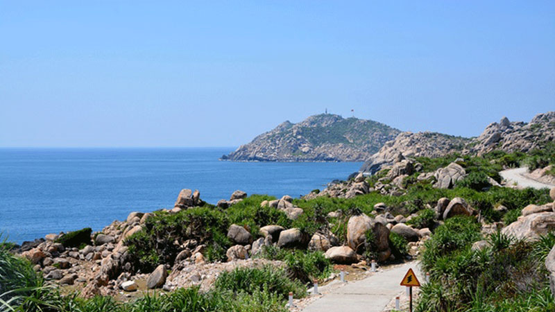 Int’l bidding to be invited for power supply by submarine cables in Binh Dinh