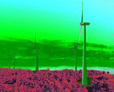 Wind power projects boom in Tra Vinh