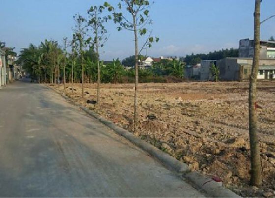 Đồng Nai: Sẽ đấu giá 20 khu "đất vàng" trong năm 2020