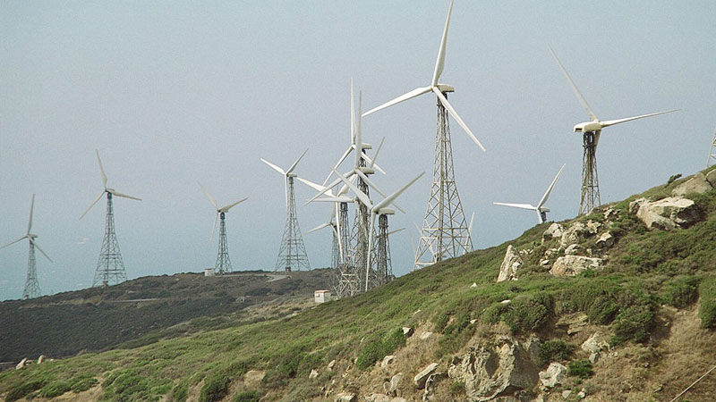 145.9 million USD wind power plant to be built in Tra Vinh