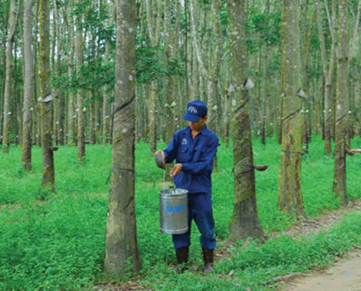 Rubber Group builds three processing plants