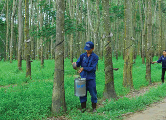 Rubber Group builds three processing plants