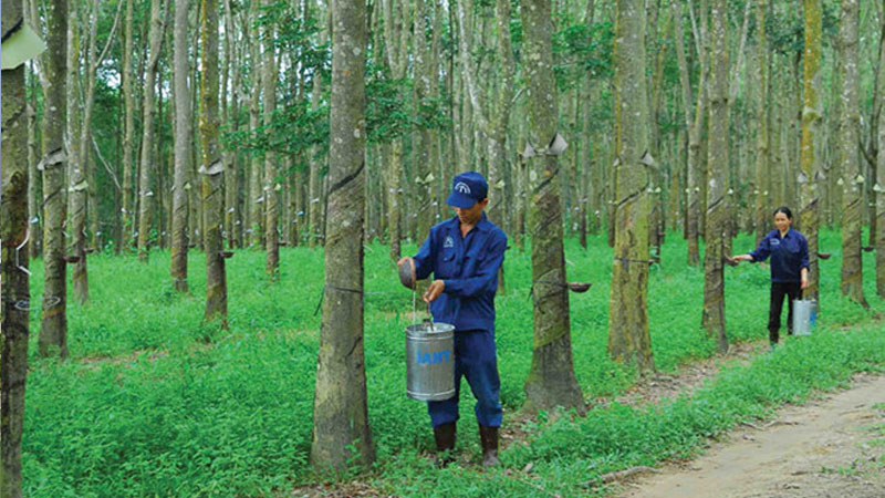 Rubber Group builds three processing plants