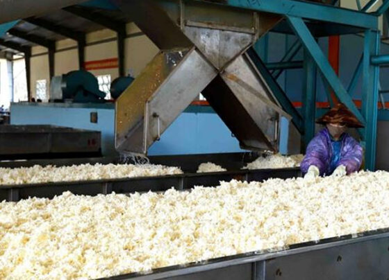 VRG quy hoạch 3 nhà máy chế biến ở phía Bắc