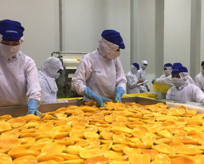 Việt Nam calls for investment in fruit and vegetable processing