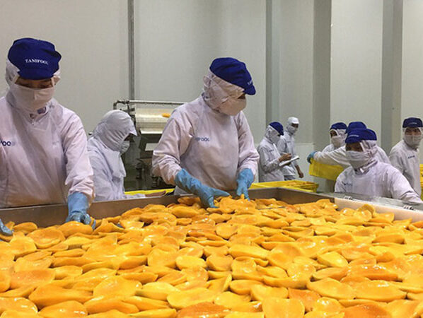 Việt Nam calls for investment in fruit and vegetable processing